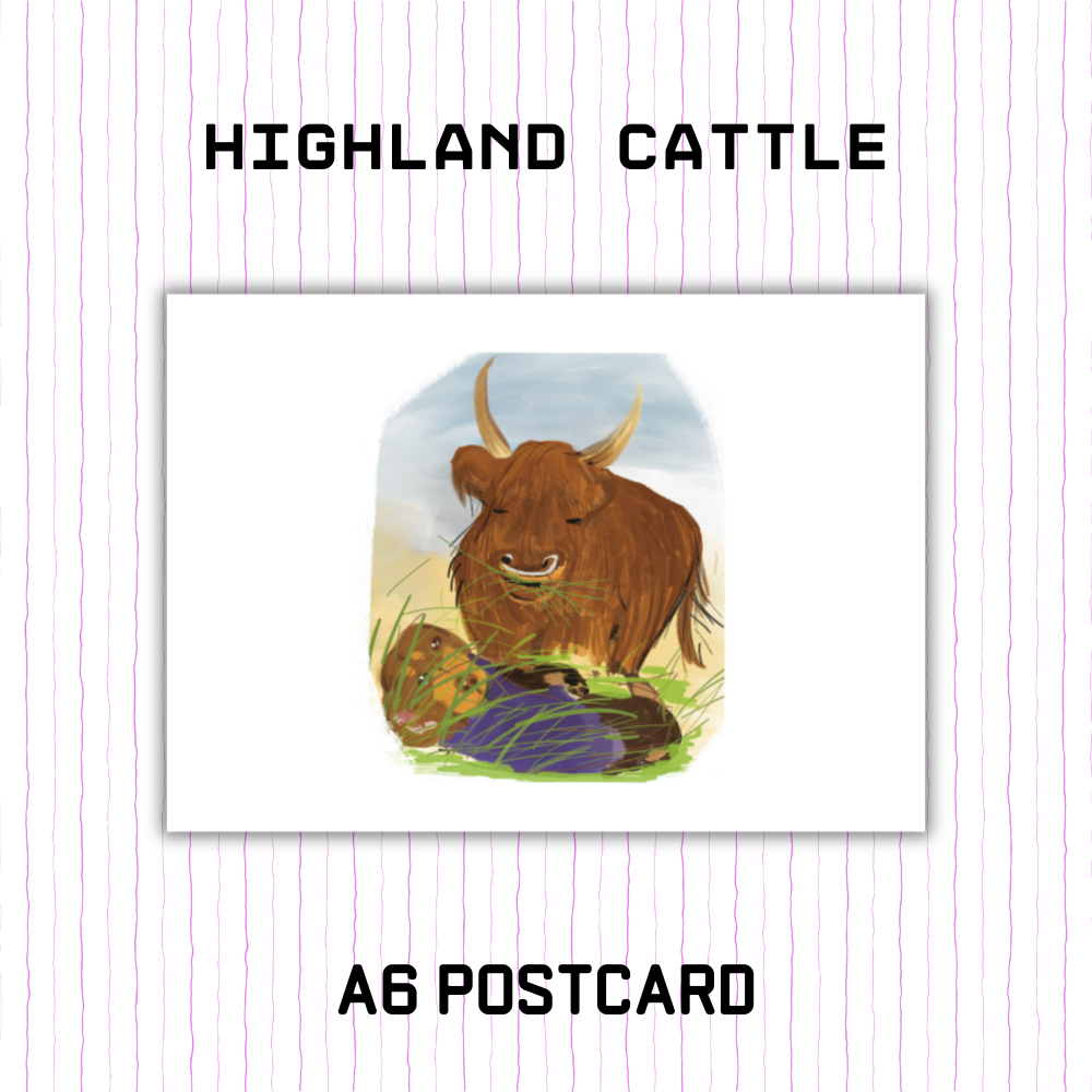 Postcard - Highland Cattle