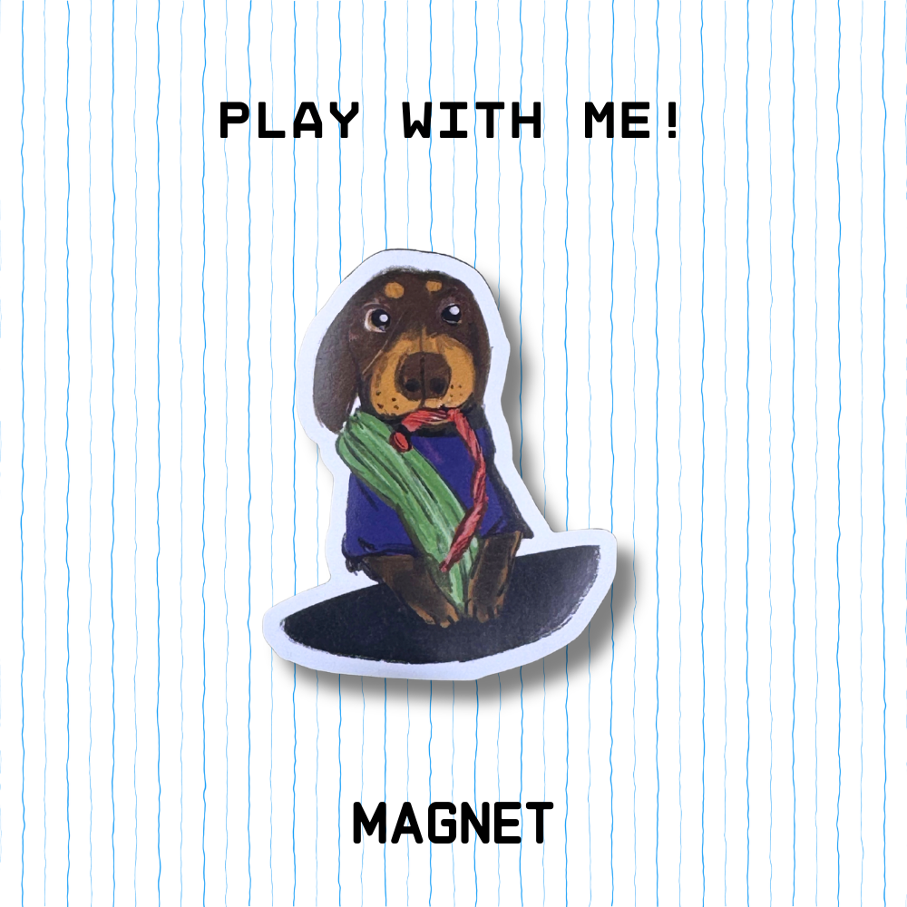 Magnet - Play with Me!