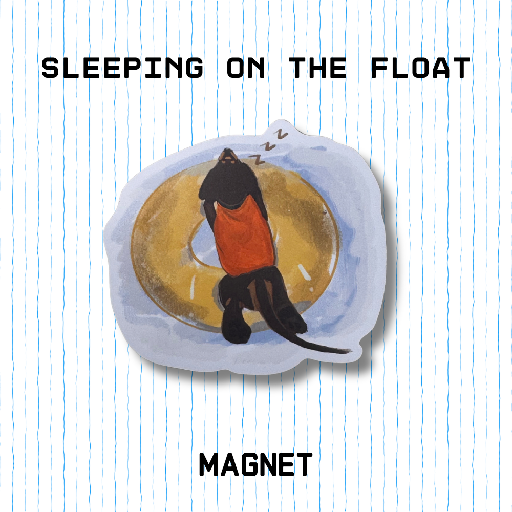 Magnet - Sleeping on the float