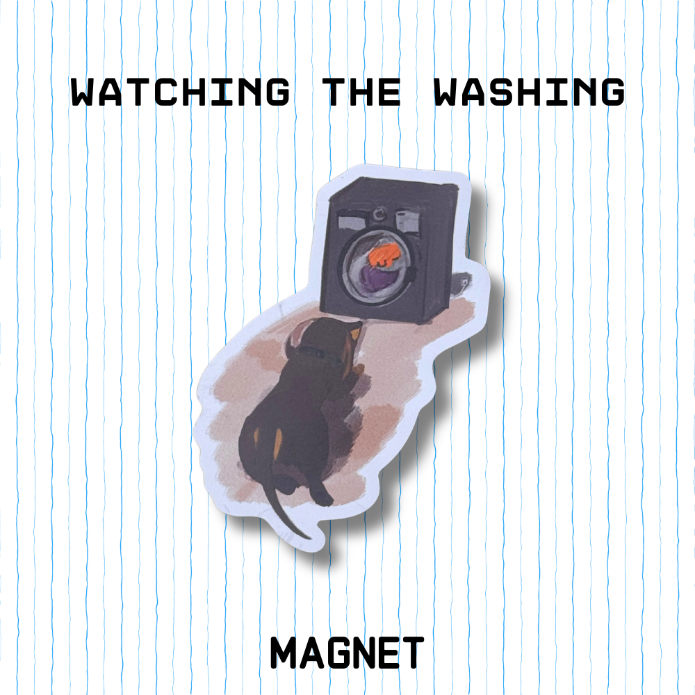 Magnet - Watching the washing